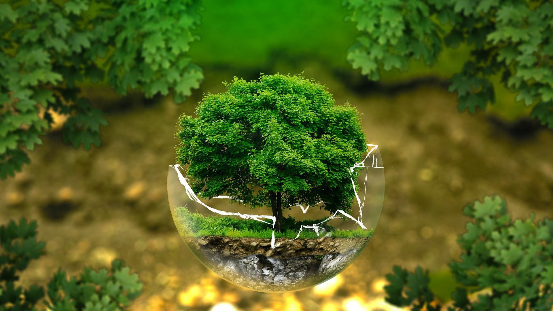 Die Naturengel - Unserer Ziele, unsere Vision